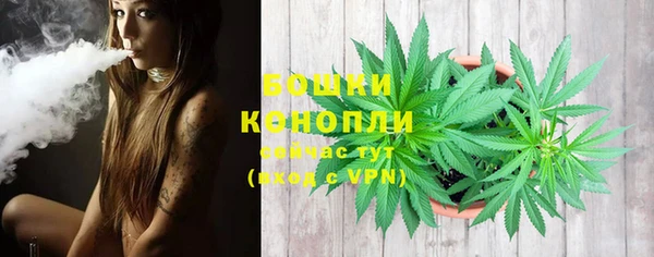 крисы Арсеньев