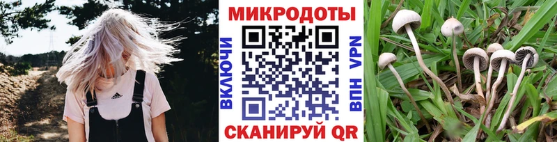 blacksprut онион  Бирск  Галлюциногенные грибы ЛСД 